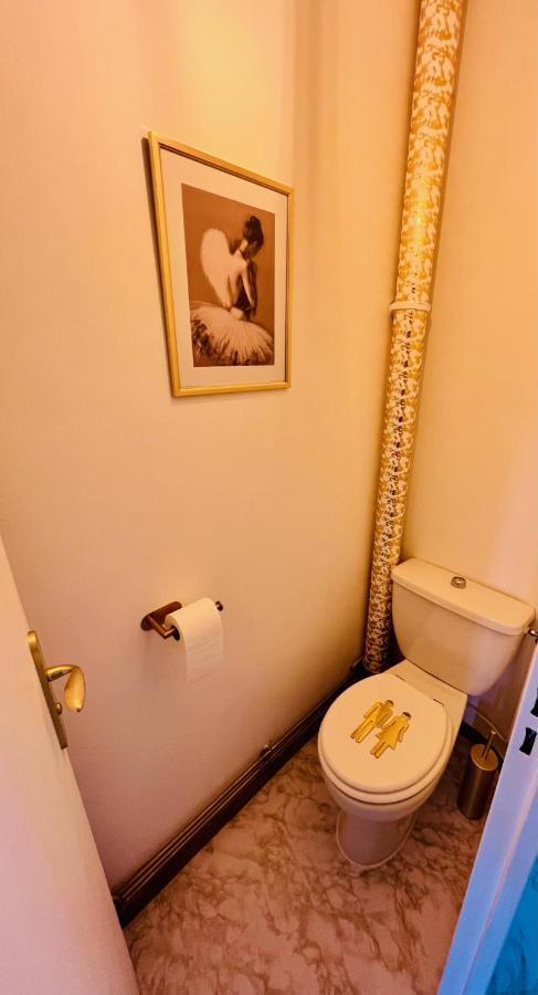 Cocon Proche Chu-Emailleurs Apartment Limoges Luaran gambar